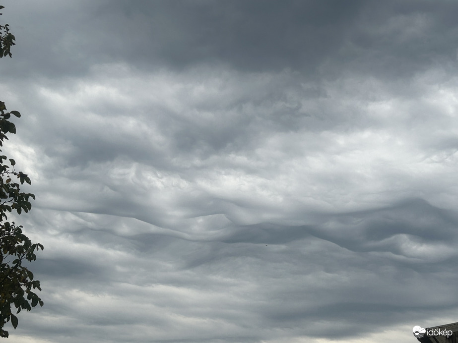 Délutáni hullámok II.