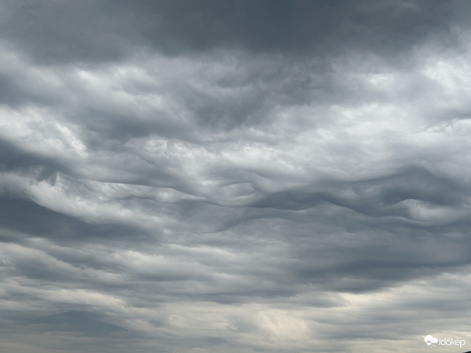 Délutáni hullámok III.