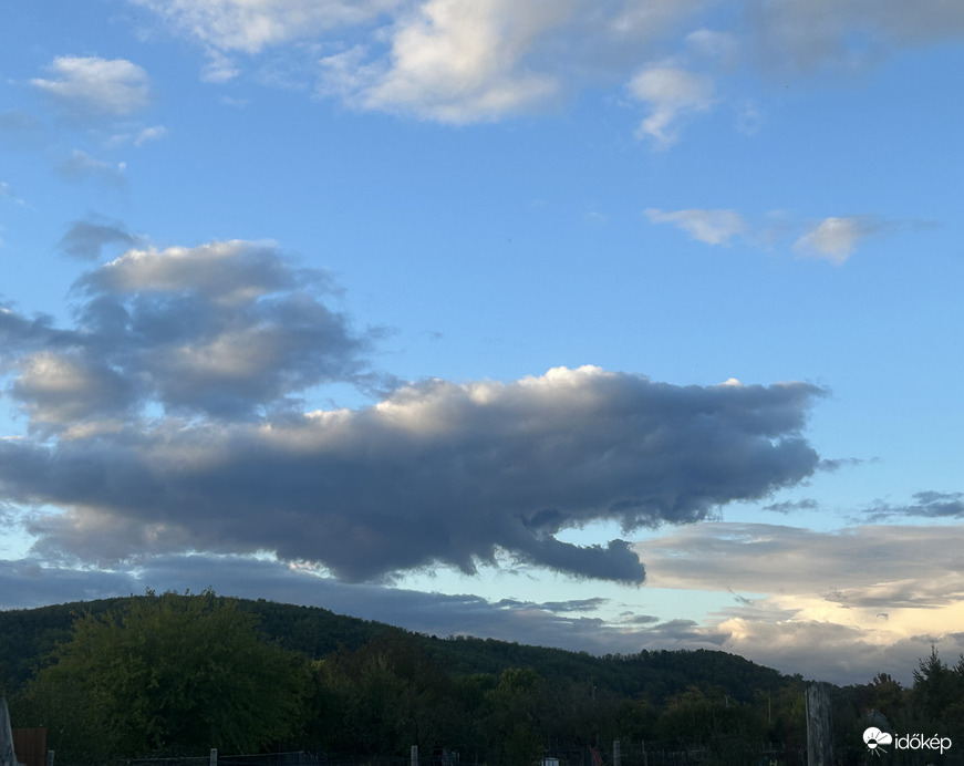 Beúszott egy ámbrás cet