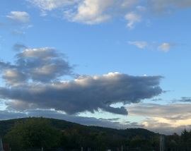 Beúszott egy ámbrás cet