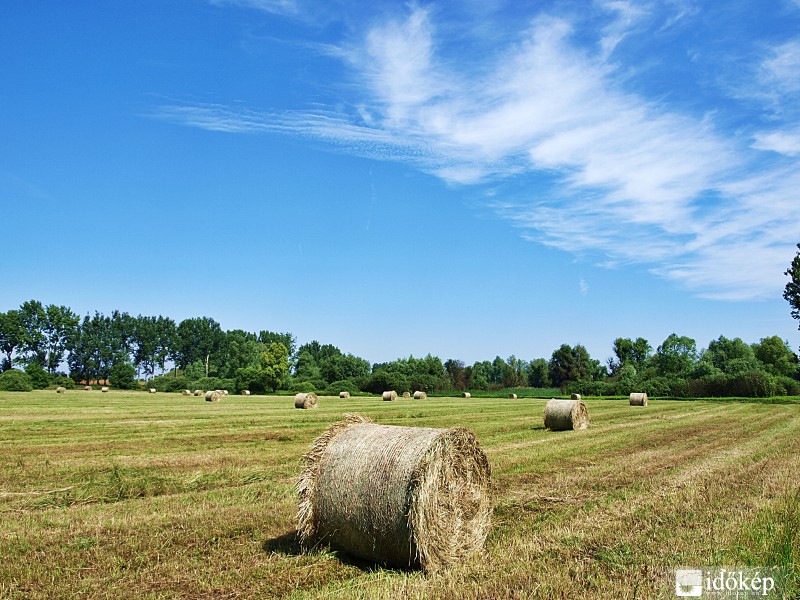A friss széna bódító illata..