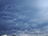 Mammatus