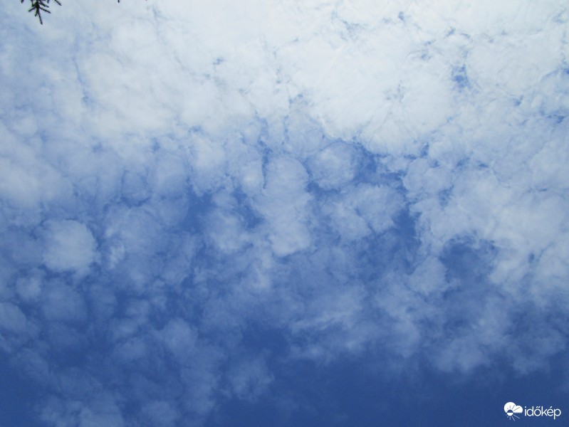 Altocumulus stratiformis translucidus