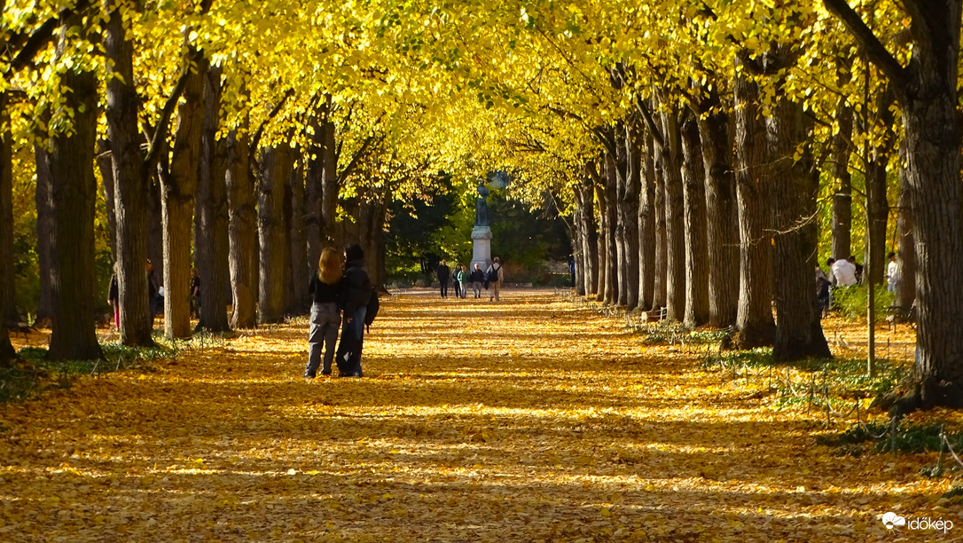 Aranyban pompázó hársfák, 