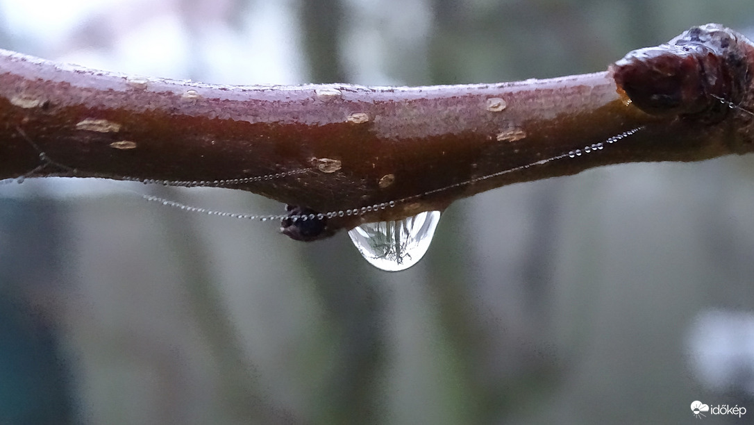 Gyöngyök, cseppek.