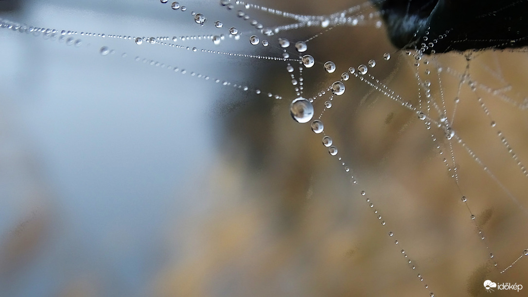 A természet ajándéka.