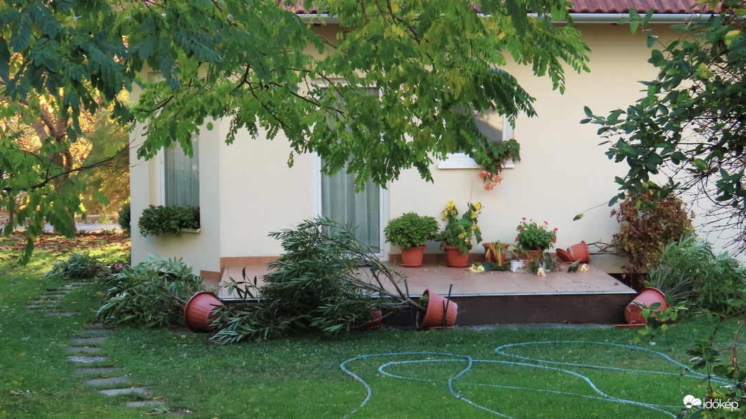 Mostanában a szél az, ami mindent visz.