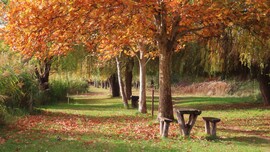 Veresegyház, Ivacsi-tó,