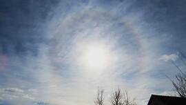 Délelőtti naphaló.