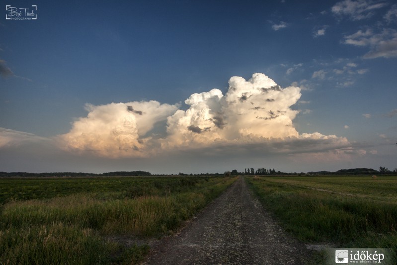 Érkeznek dél felől...