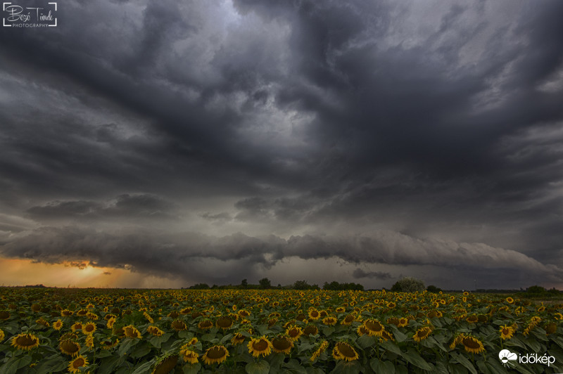 Csongrád megyén átrobogó zivatar cella