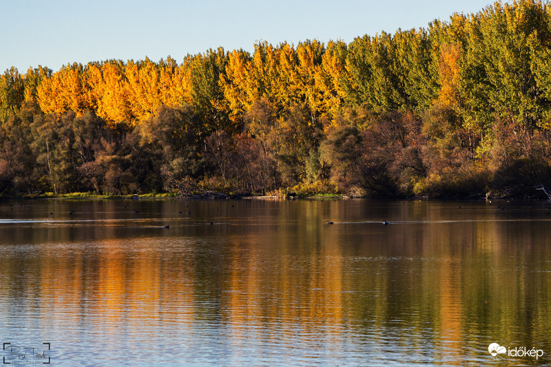 Tisza-holtág