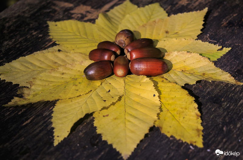 Ősz 3
