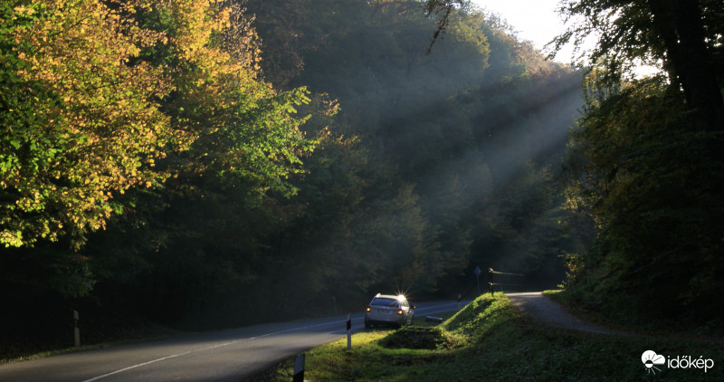 Ősz 5