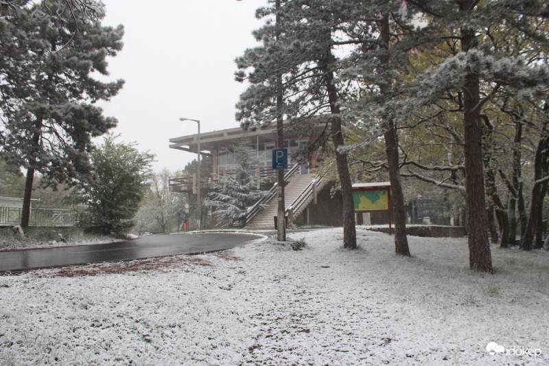 Pécs, TV toronynál