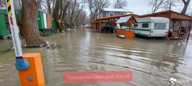 ‼️A Tisza áradása Tiszaszőlős Katamarán Kikötő 2021. 02. 17.