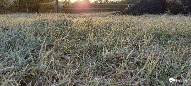 Deres Tiszafüredi reggel