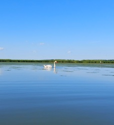 Tisza-tó