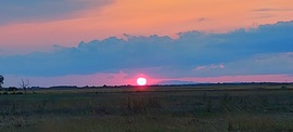 Hortobágyi naplemente 08. 06-án.
