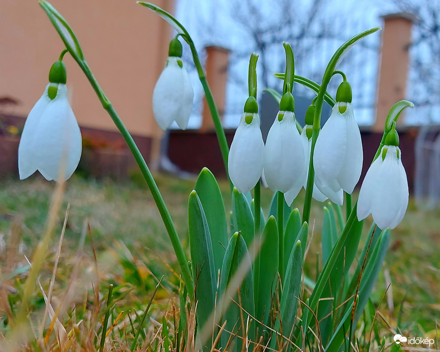 Észlelési fényképek