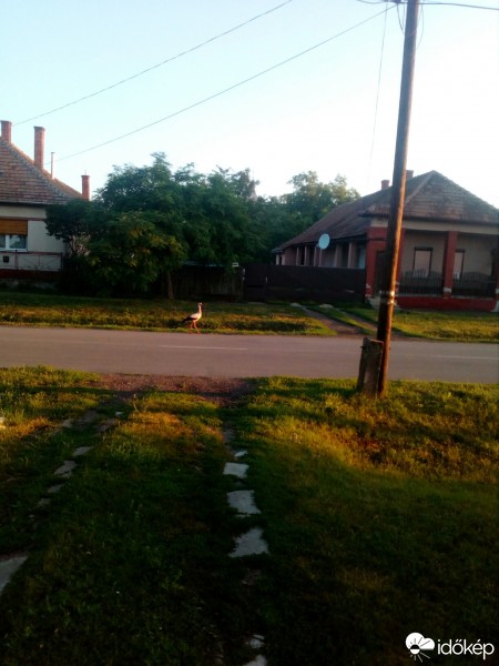 Észlelési fényképek