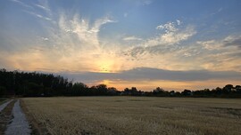Mezőtúr