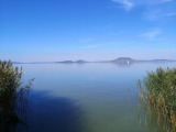 Balatonfenyves