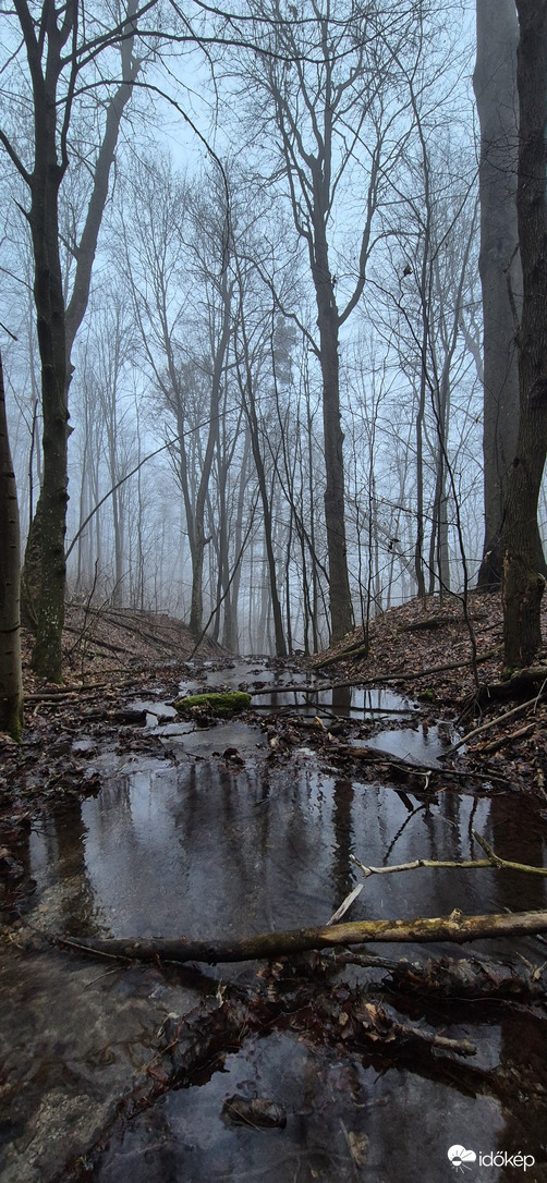 Természet