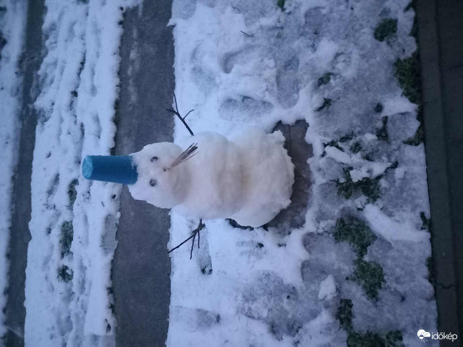 Észlelési fényképek