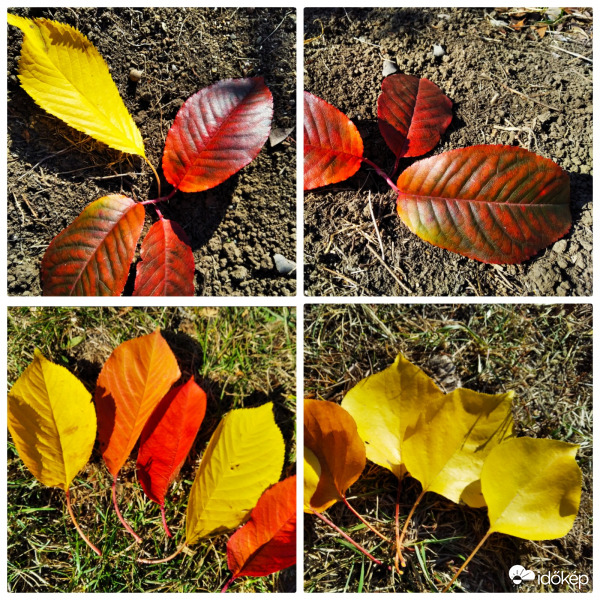 Őszi színek 2. 