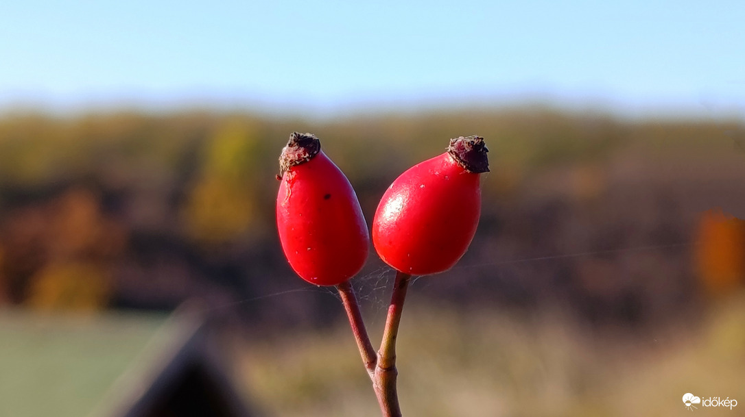 A Bükk őszi csodái - 4