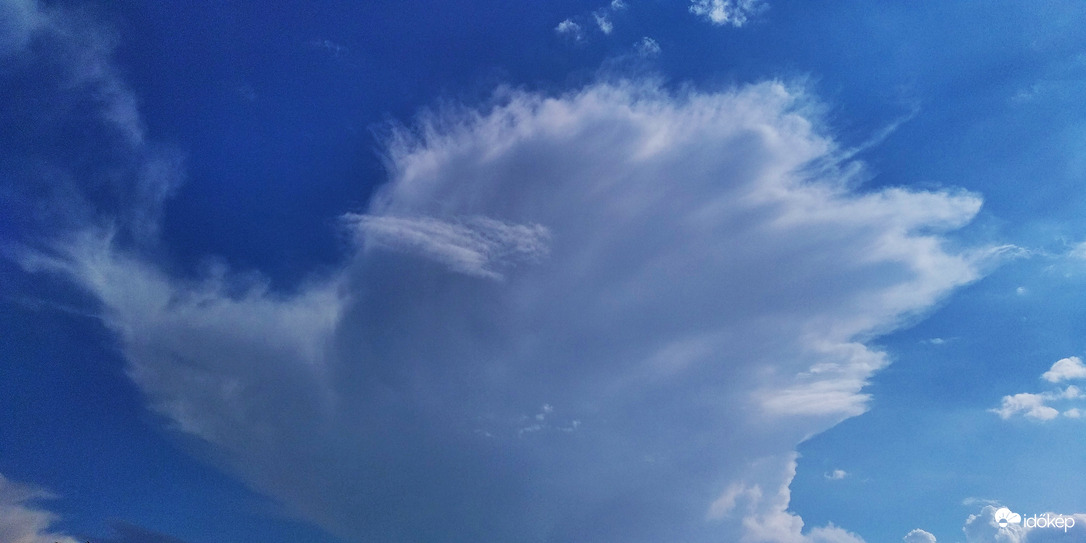 Változatos délután - 1