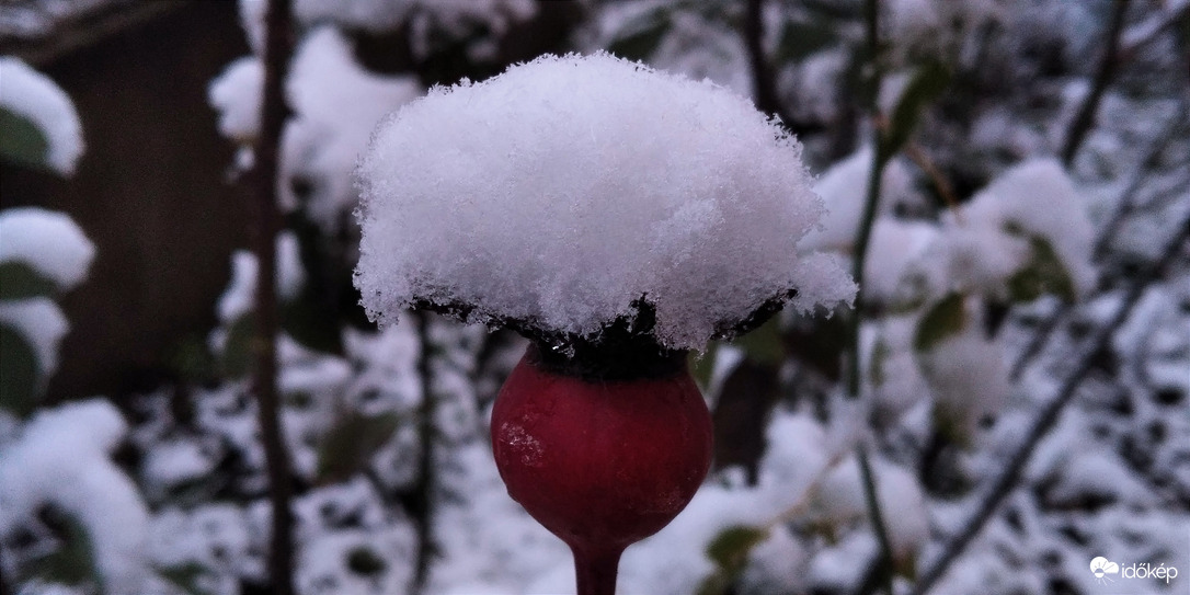 Megérkezett a tél - 3