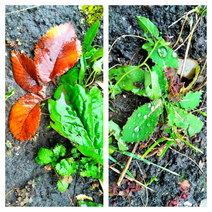 Megérkezett az eső