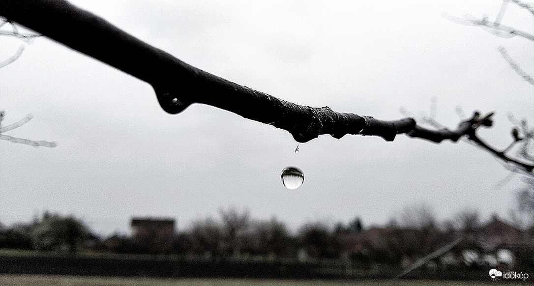 Eső érkezett - 2 