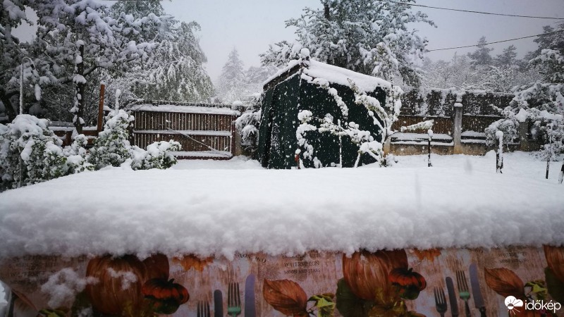 Észlelési fényképek