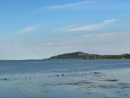 Balatonfenyves