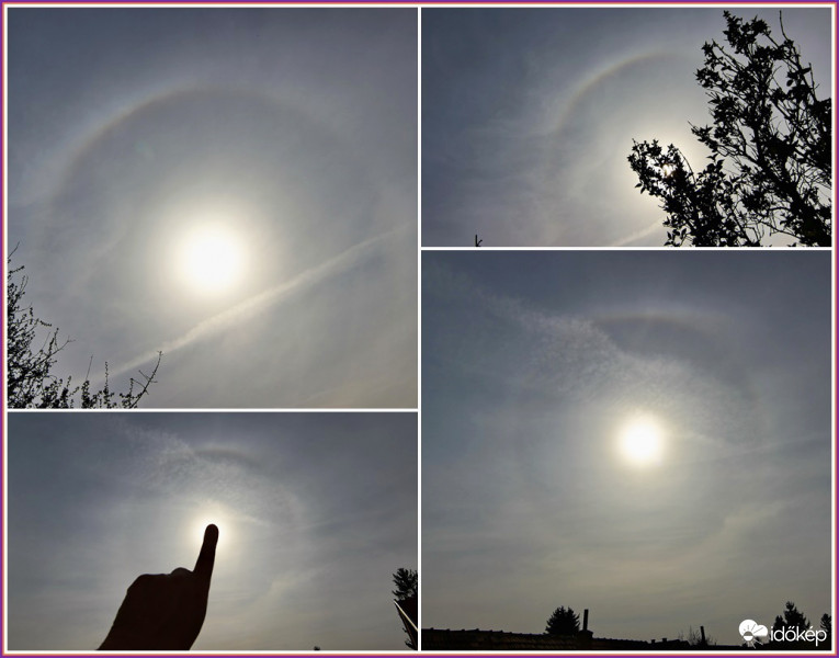 Délutáni halozgatás. 