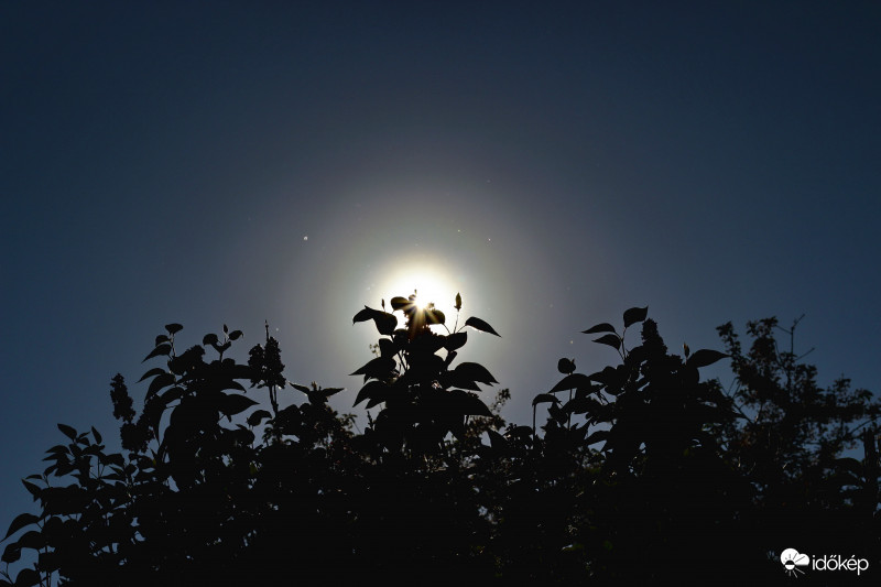 Pollenkoszorú ma is.