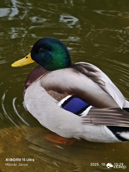 Budapest XI.ker - Kelenföld