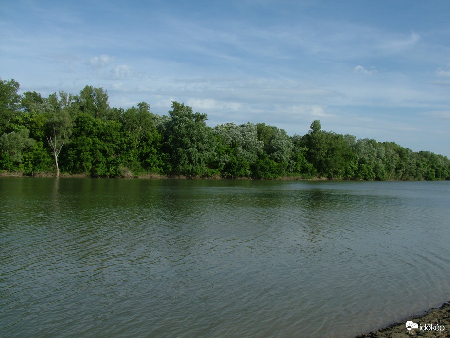 Tisza