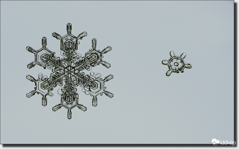 Ha megnövök, én is ilyen szép leszek...