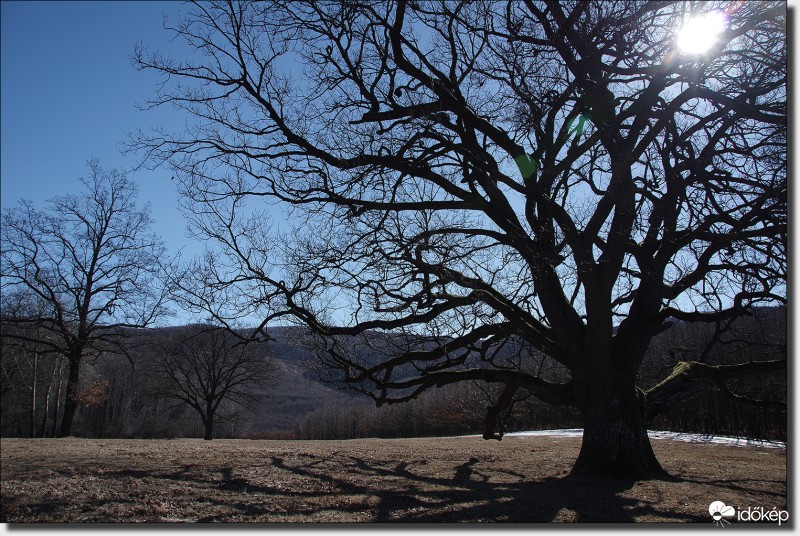 A Nagy-Halmaj rét, anno...
