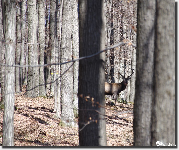 Ennyire futotta... :-)