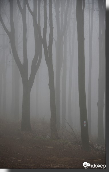 Galyatető ma reggel III