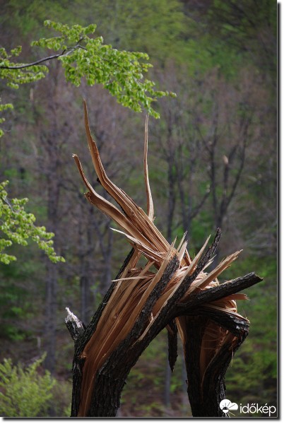 Az áprilisi havazás után...