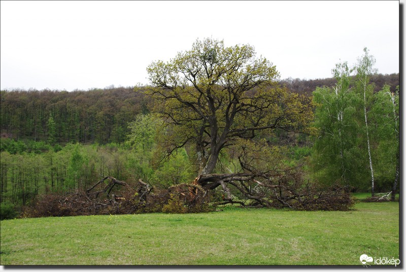 A Nagy-Halmaj rét napjainkban...