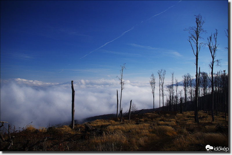 A Vércverés oldalában