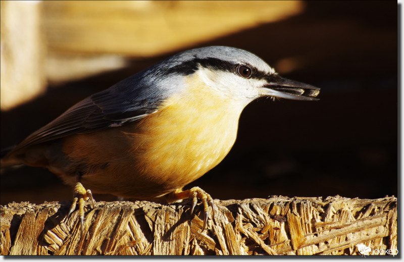 Két szemet egy csapásra...