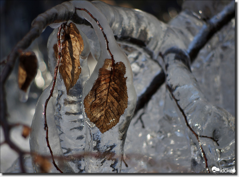 Jégbe zárt ősz